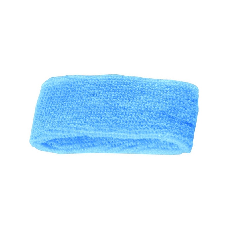 Blue Cute Stylish Hair Headbands Head Band Costume Accessory