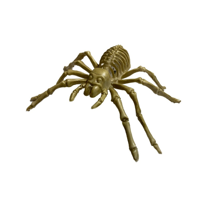 Light Up Spider Skeleton Decoration