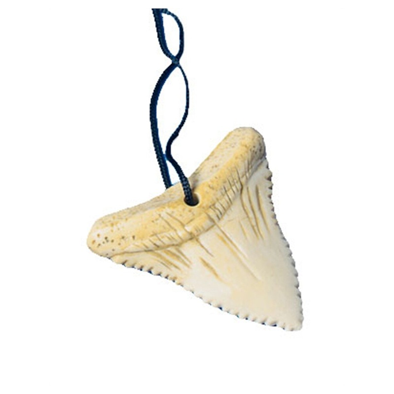 Shark Tooth Australia New Zealand Surfer Party Necklace