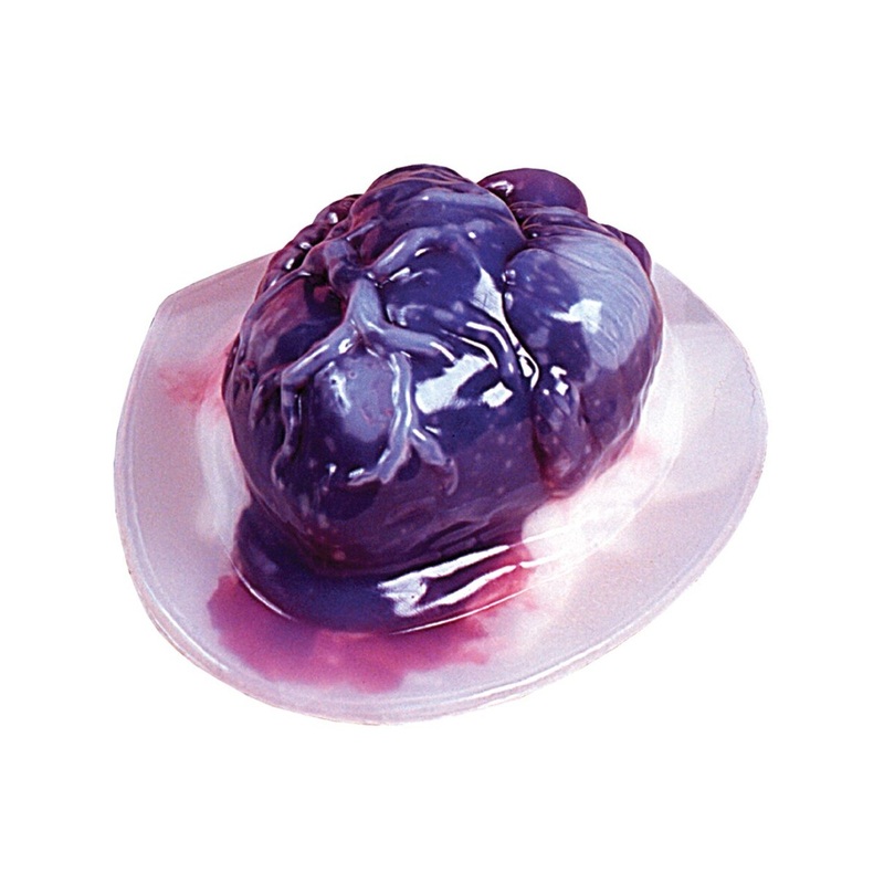 Human Heart Shaped Gelatin Mold Decoration