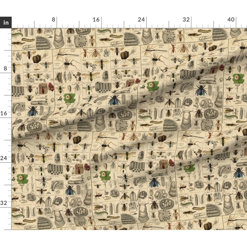 Petal Signature Cotton by the Yard or Fat Quarter Entomology Bugs Science Bees Natural World Bug Classroom Custom Printed Fabric by Spoonflower