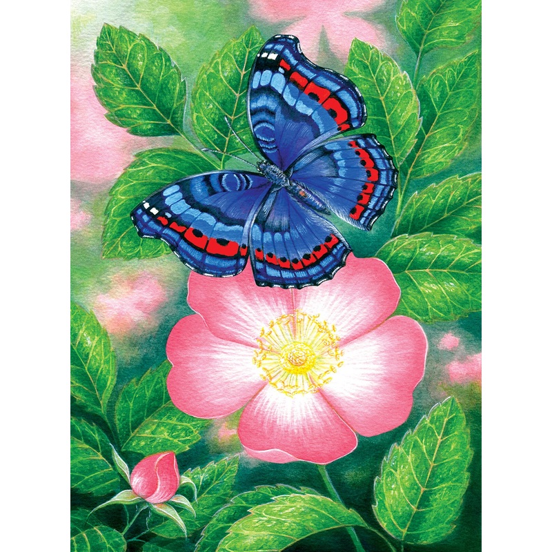 Sunsout Blue Butterfly 1000 pc   Jigsaw Puzzle 48218