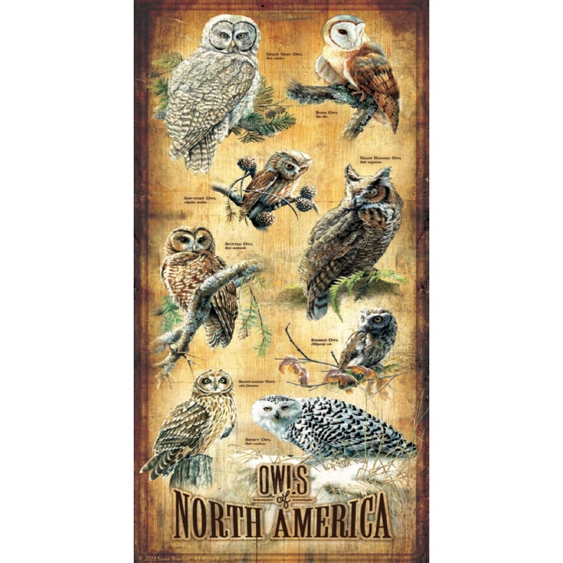 Sunsout Owls of North America 500 pc   Jigsaw Puzzle 66415