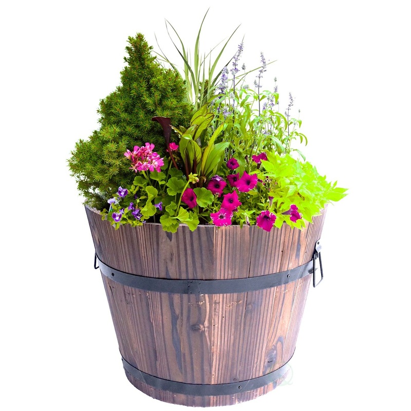 Wooden Whiskey Barrel Planters