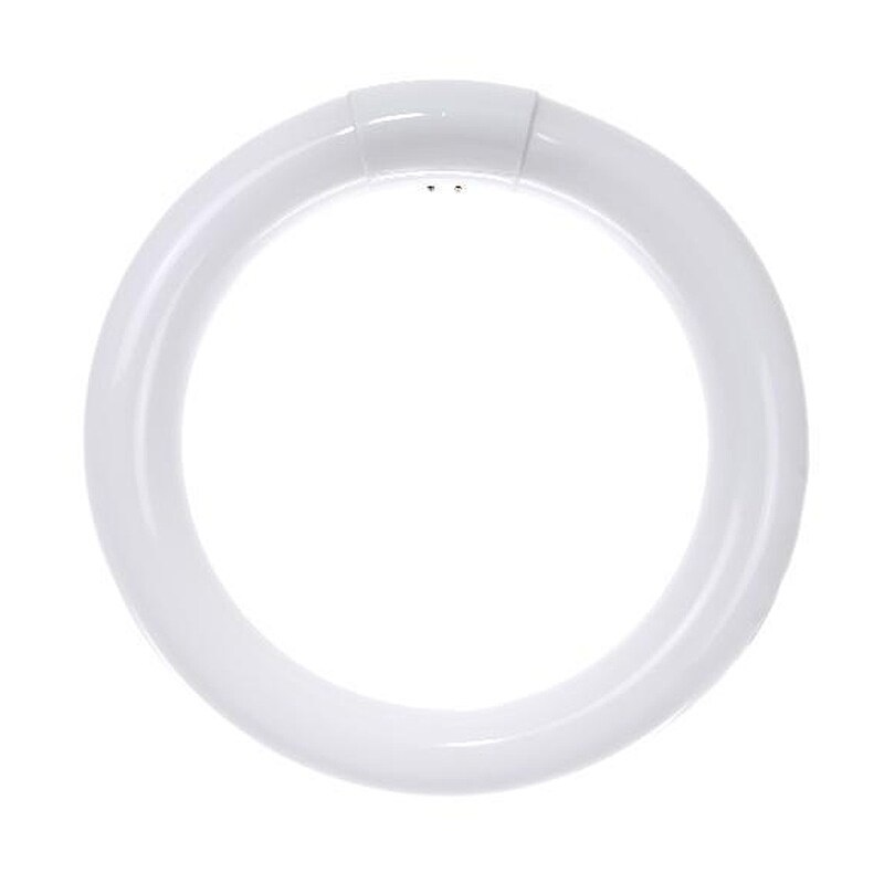 SUNLITE FC8T9/DL 22w 6500k Daylight Circline Fluorescent Light Bulb