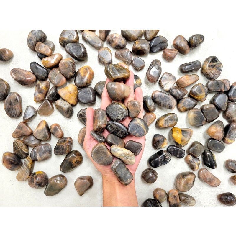 Tumbled Black Moonstone Crystals from India