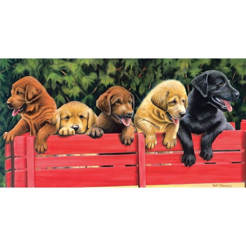 Sunsout All Aboard 500 pc   Jigsaw Puzzle 53608