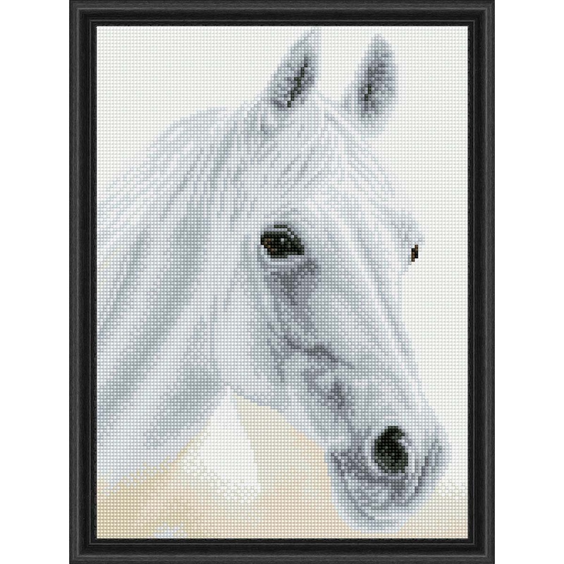 Diamond Dotz  Arabian Beauty Diamond Painting