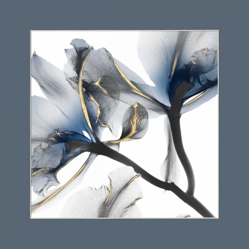 Indigo Luster Cyclamen Border 2 Poster Print by Albert Koetsier (12 x 12)