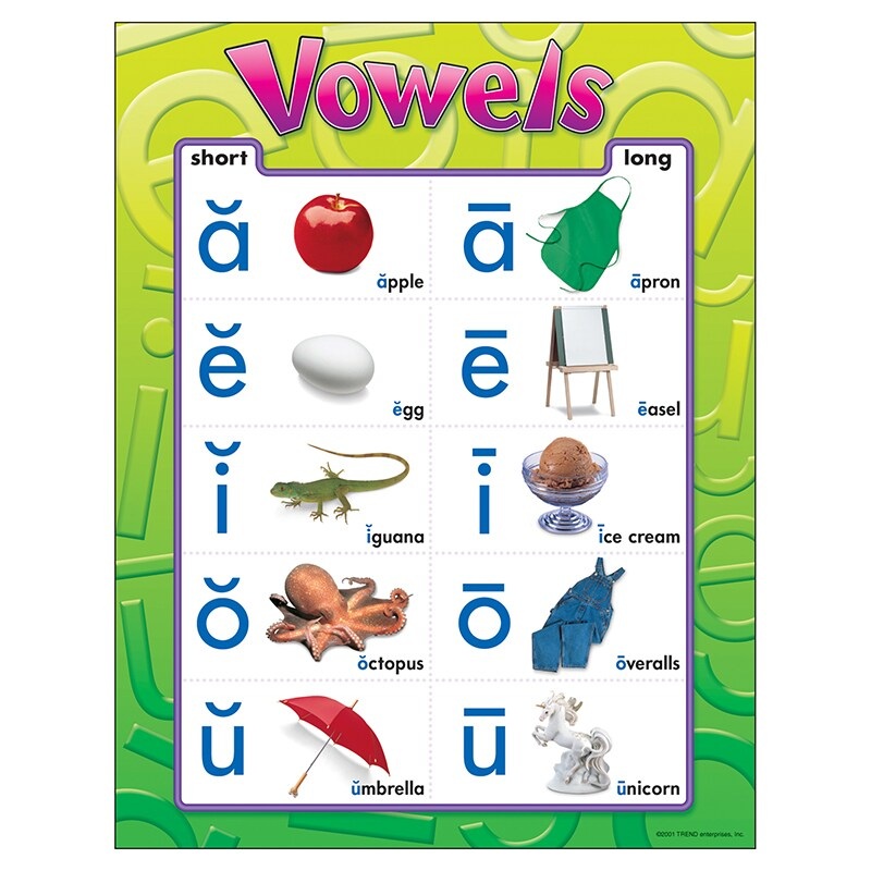 Vowels Learning Chart, 17″ x 22″