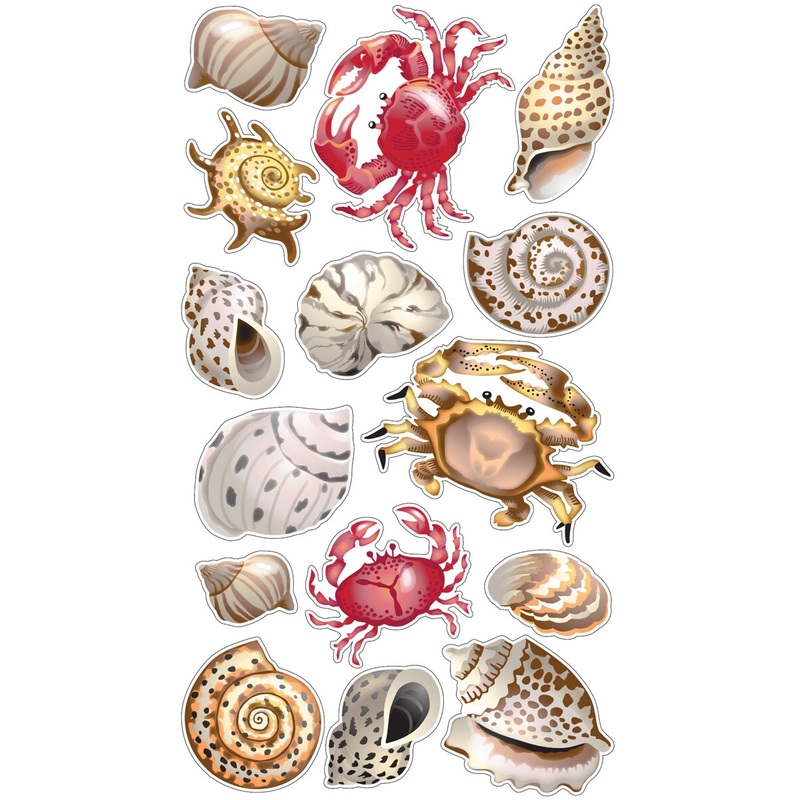 EK Success Shells & Crabs