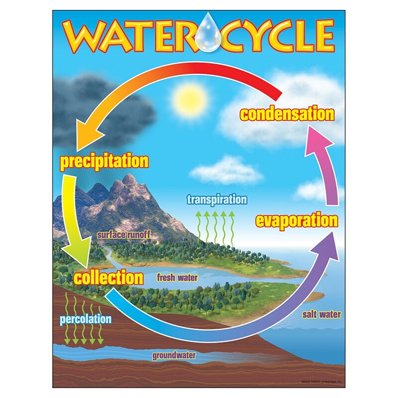 The Water Cycle Learning Chart, 17″ x 22″