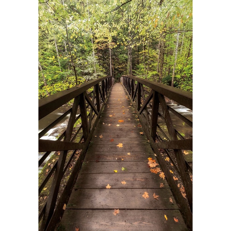Autumns Bridge Poster Print by D. Burt # POD60935