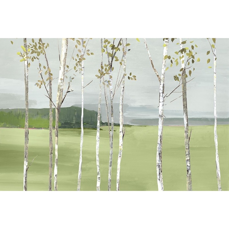 Birch Valley Poster Print by Allison Pearce # PS317A