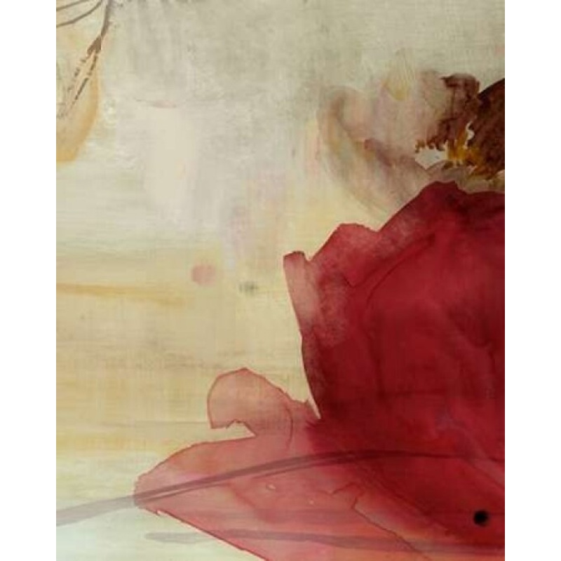 Alcoves Unguessed I Poster Print by PI Galerie