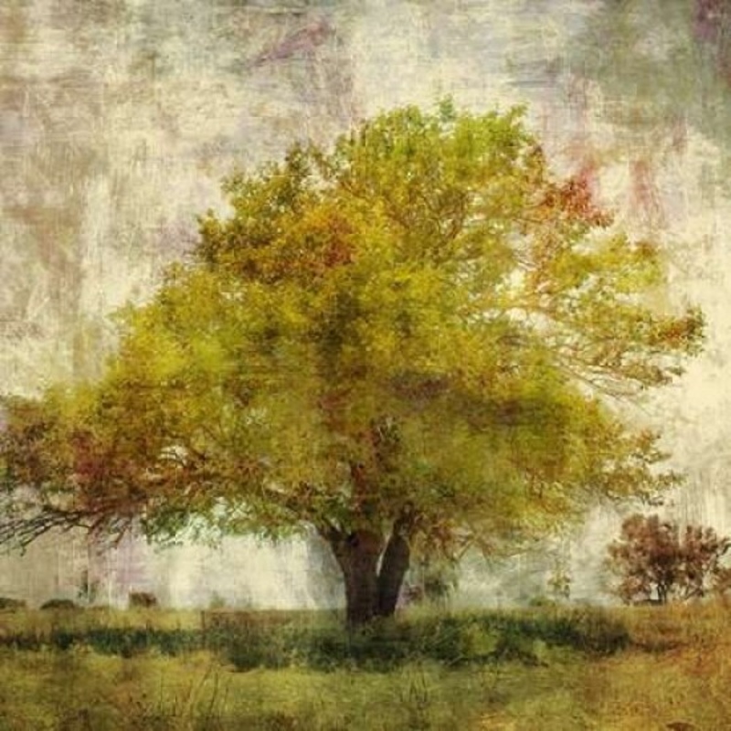 Vintage Tree Poster Print by PI Studio