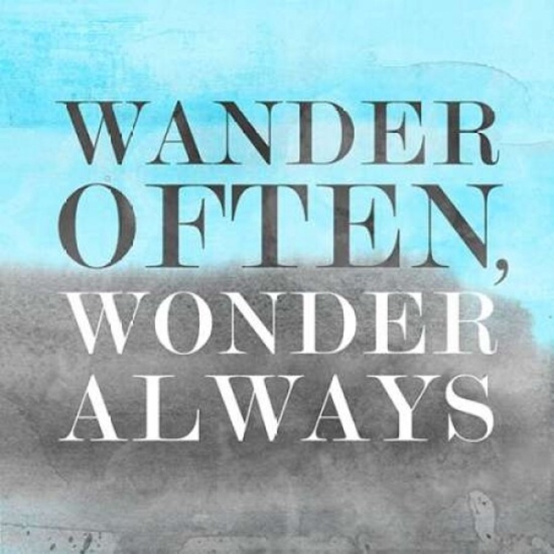 Wander BG II Poster Print by PI Studio