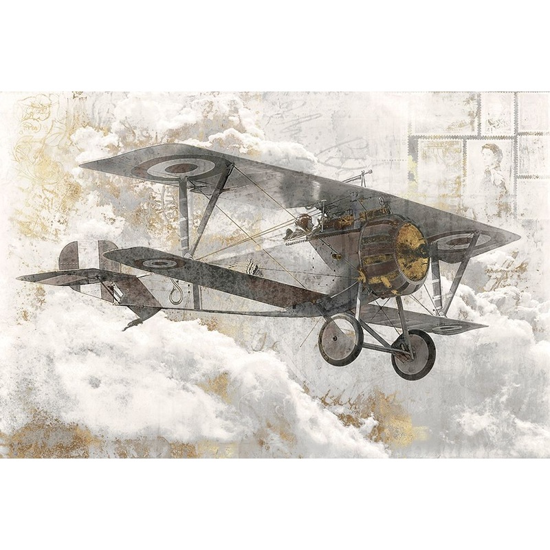 Airplane I  Poster Print by Roozbeh Roozbeh # OZ014A