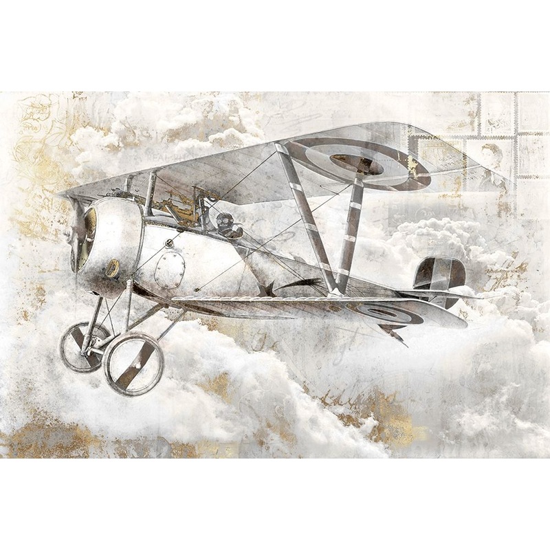 Airplane II Poster Print by Roozbeh Roozbeh # OZ015A