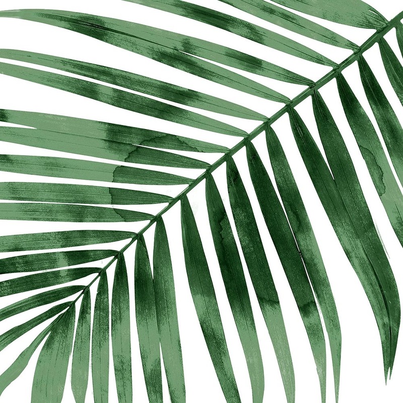 Tropical Green Palm I Poster Print by Melonie Miller # MMR116785