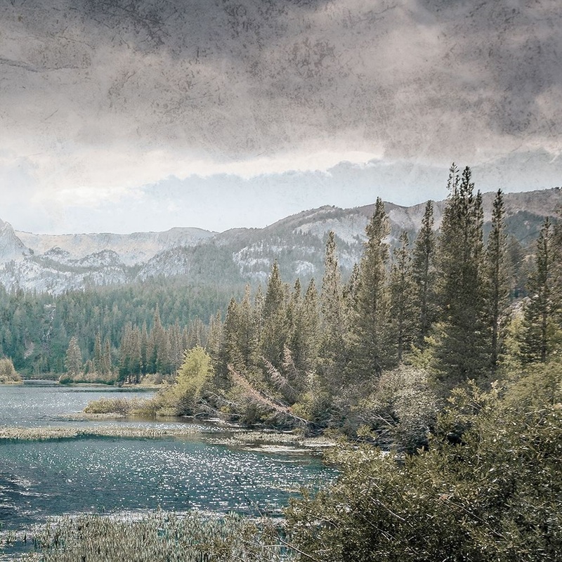 Wilderness Wonders 4 Poster Print by Marcus Prime # MPSQ273B