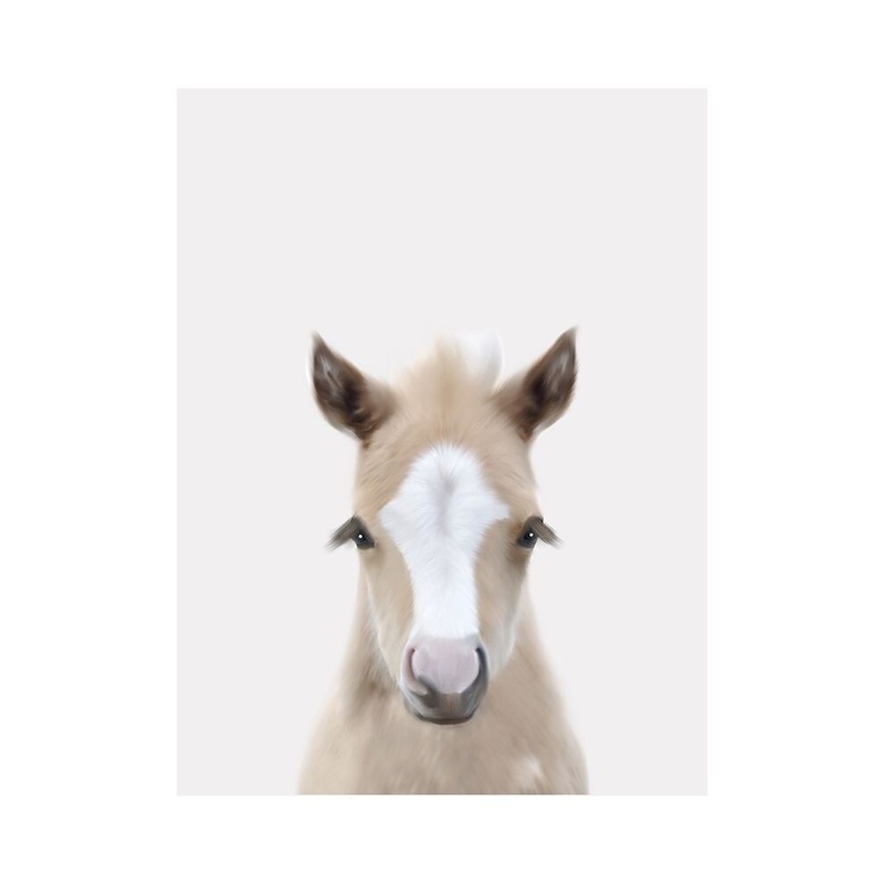 Baby Horse 1 Poster Print by Leah Straatsma # LSRC008M