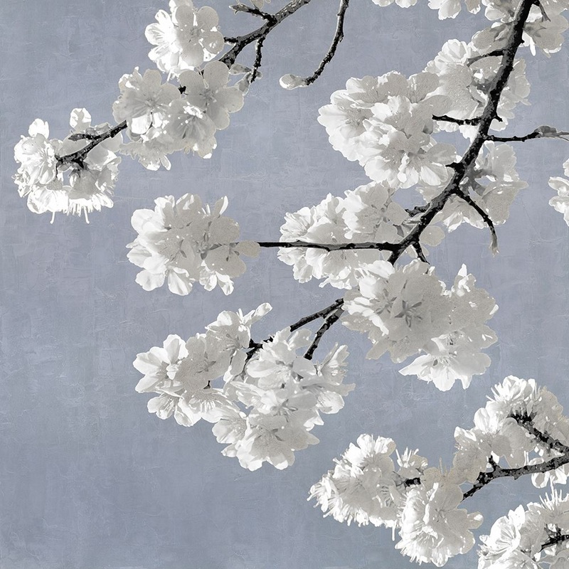 Blossoms on Blue II Poster Print by Kate Bennett # KTB116620