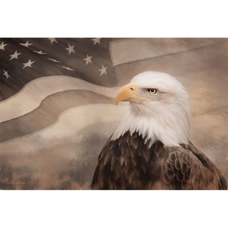 US Symbols Poster Print by Lori Deiter # LD1832