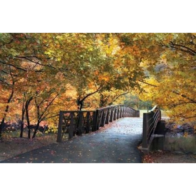 Autumn Overpass Poster Print by Jessica Jenney