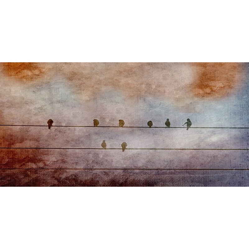 BIrd Watching 2 Poster Print by Jamie Phillip # JPW34B