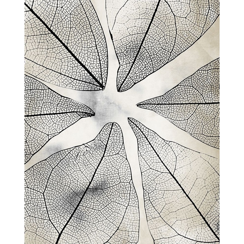 Transparent 1 Poster Print by Kimberly Allen # KARC2133A