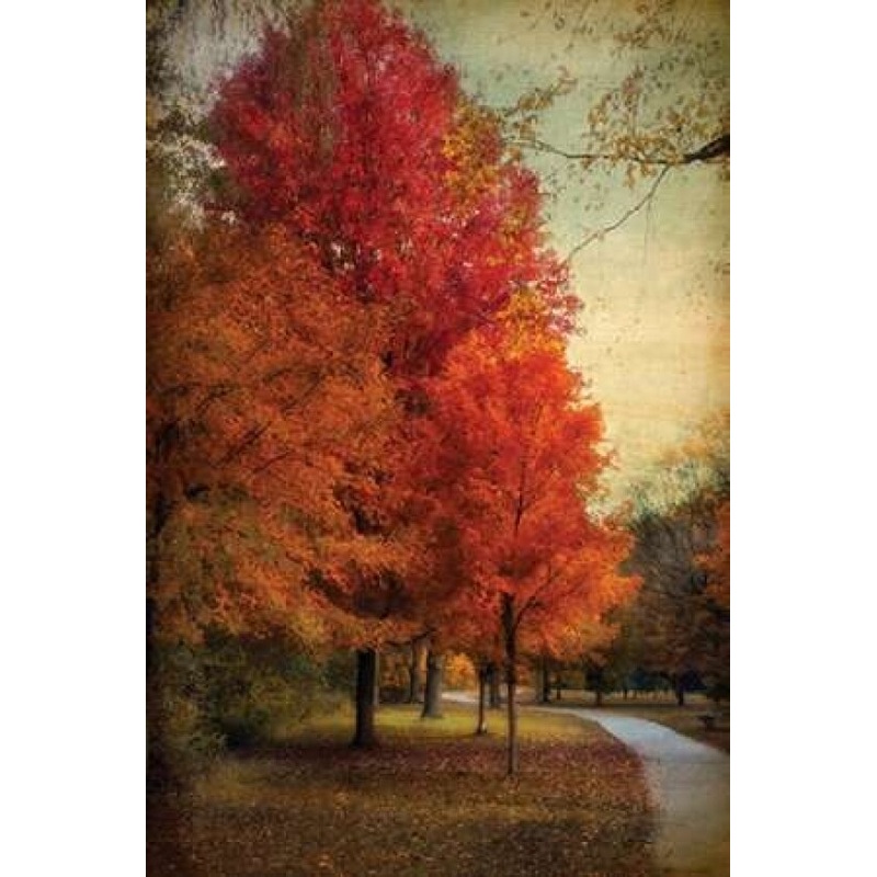 Among the Maples Poster Print by Jessica Jenney