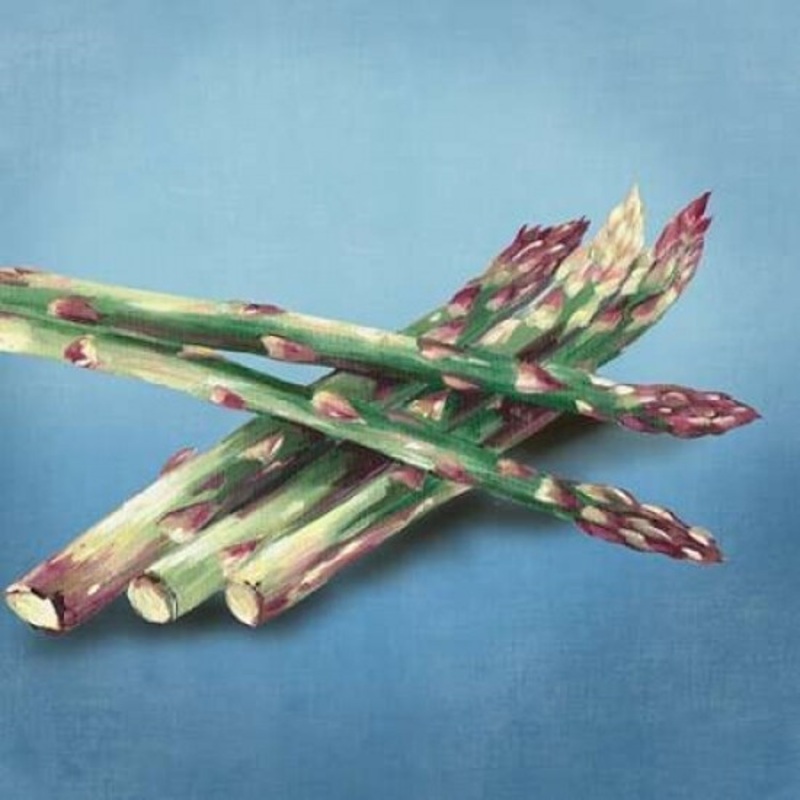 Asparagus Poster Print by Asia Jensen