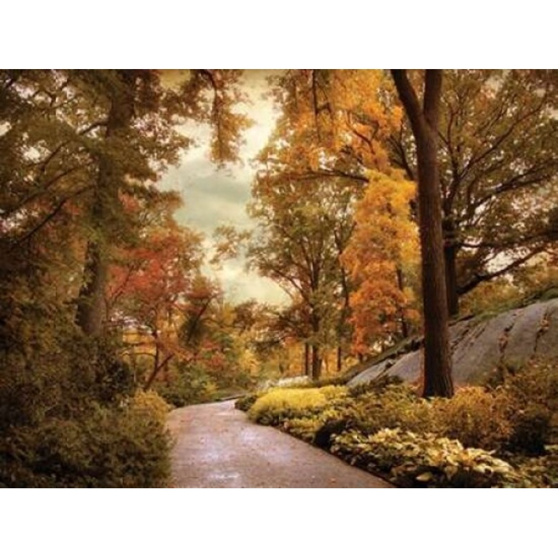 Azalea Garden in Autumn Poster Print by Jessica Jenney