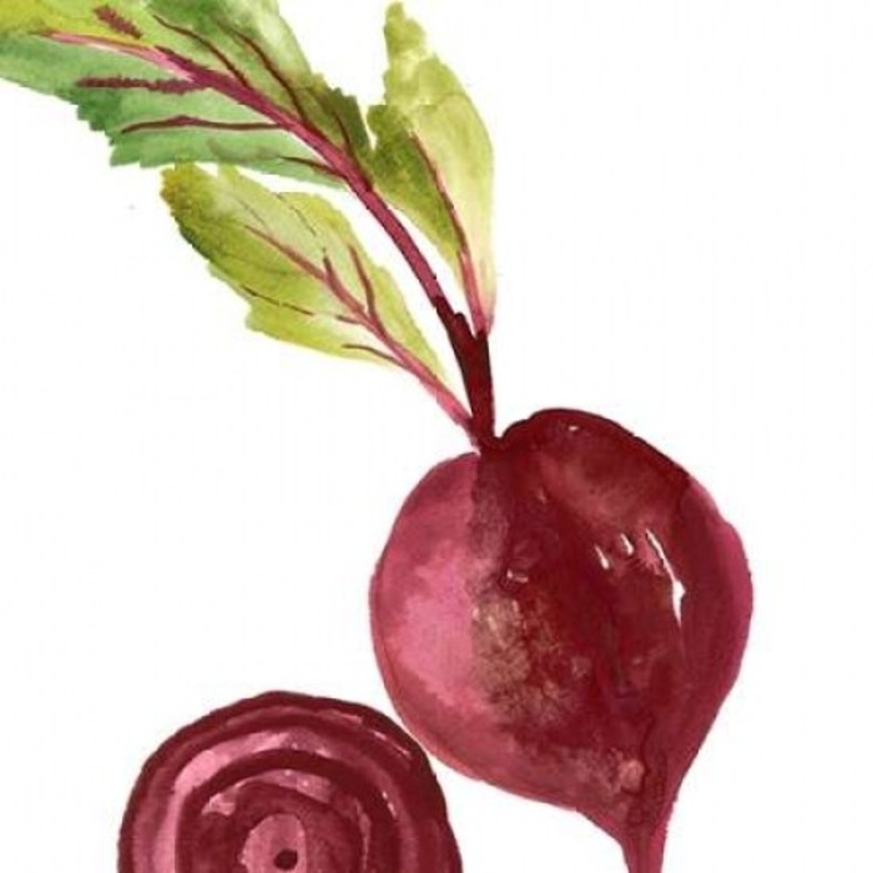 Beet Poster Print by Asia Jensen