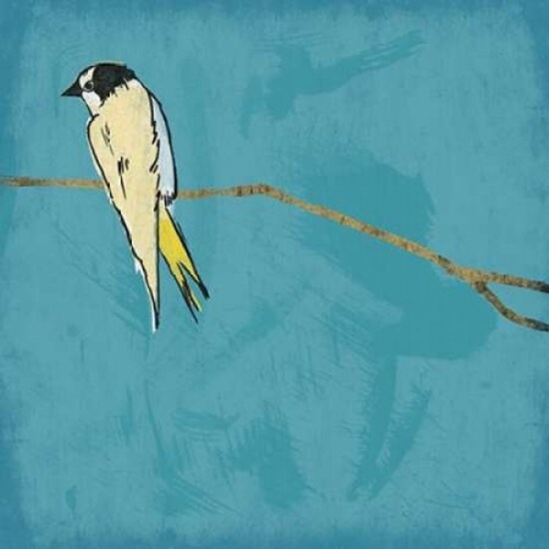 Birds on branch Poster Print by Jace Grey # JGSQ048F