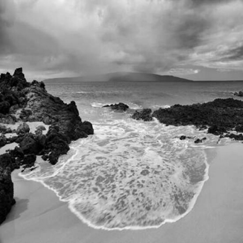 Beach Oasis Poster Print by Dennis Frates