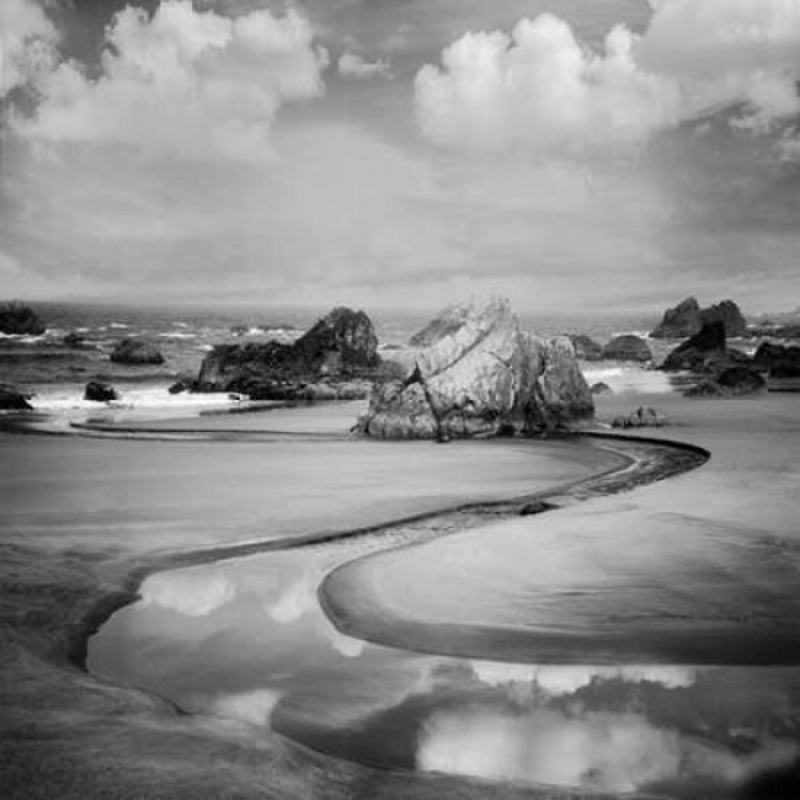 Beach Path Poster Print by Dennis Frates