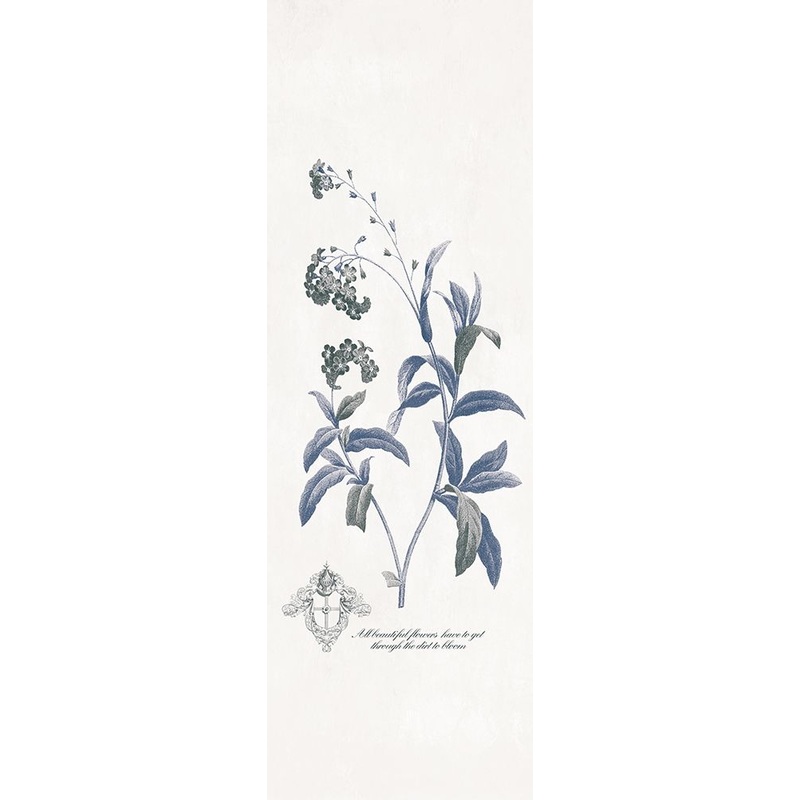 Beautiful Flowers Poster Print by Jace Grey # JGPL363B