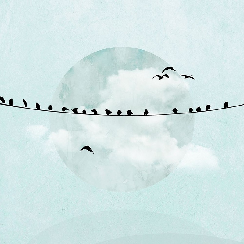 Birds on a Line I Poster Print by Hal Halli # HH004A