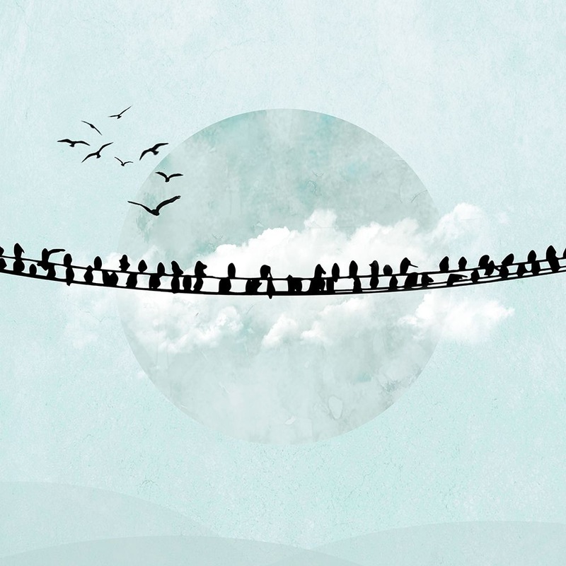 Birds on a Line II  Poster Print by Hal Halli # HH005A