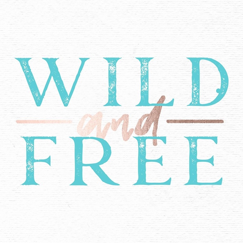 Wild and Free Turquoise Adventure Quote Poster Print by Nature Magick Nature Magick # GI213A