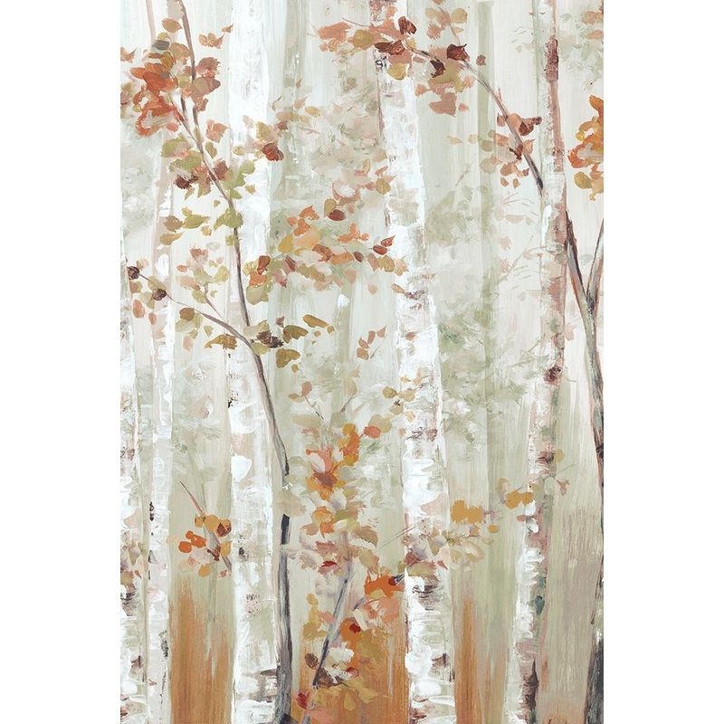 Birch Wood I  Poster Print by Eva Watts # EW598A