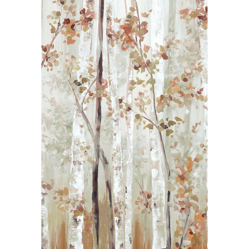 Birch Wood II  Poster Print by Eva Watts # EW599A