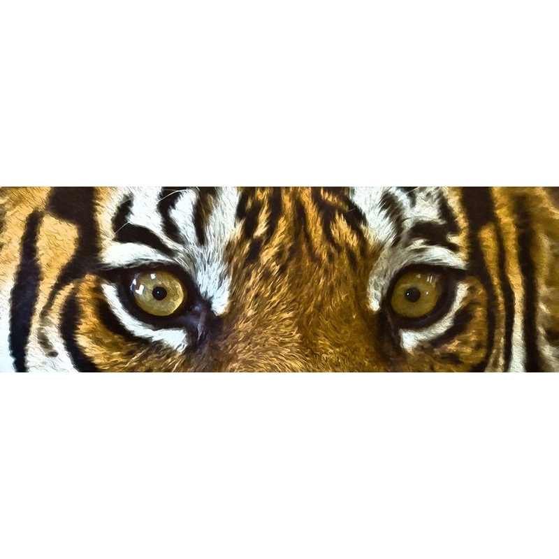 Tiger Eyes Poster Print by Ronald Bolokofsky # FAS1334