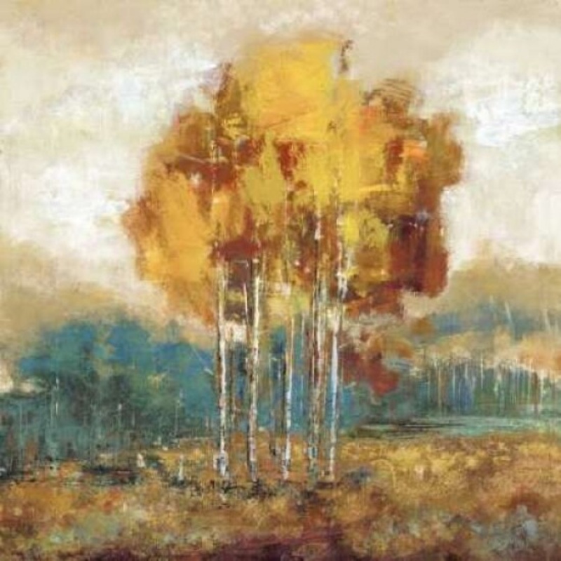 Weathered Scape I Poster Print by Carmen Dolce