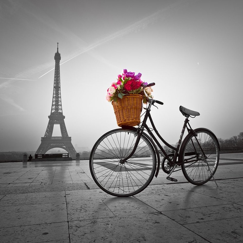 Bicycle with a basket of flowers next to the Eiffel tower Poster Print by Assaf Frank # AF201203161105C09