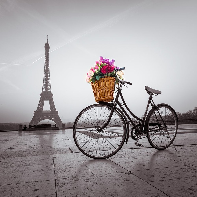 Bicycle with a basket of flowers next to the Eiffel tower Poster Print by Assaf Frank # AF201203161105C13