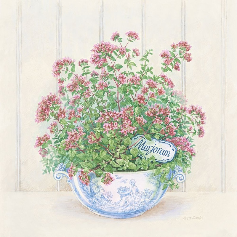 Marjoram Poster Print by Anne Searle # 9363