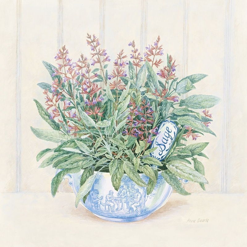 Sage Poster Print by Anne Searle # 9362
